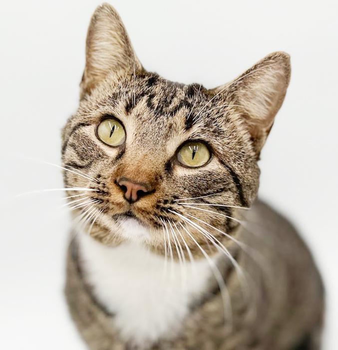 Romeo Is Ridiculously Sweet!!