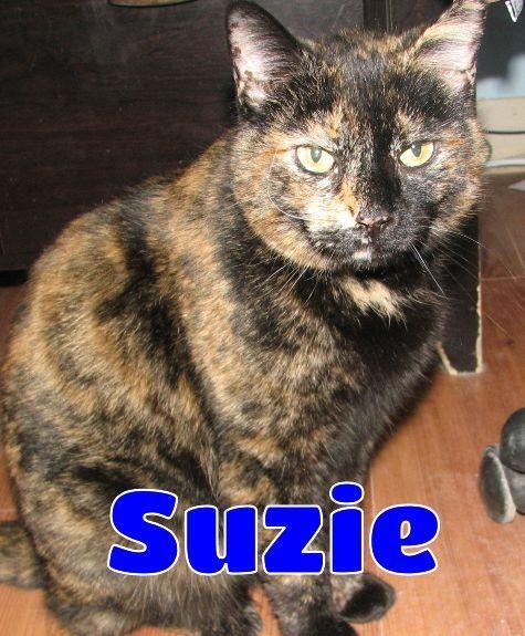 Suzie