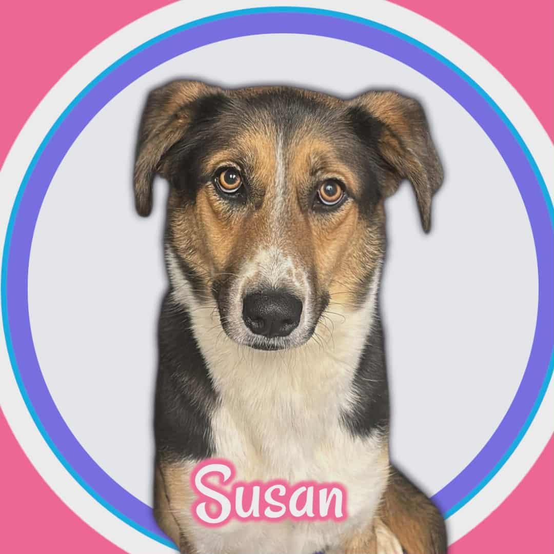 Susan