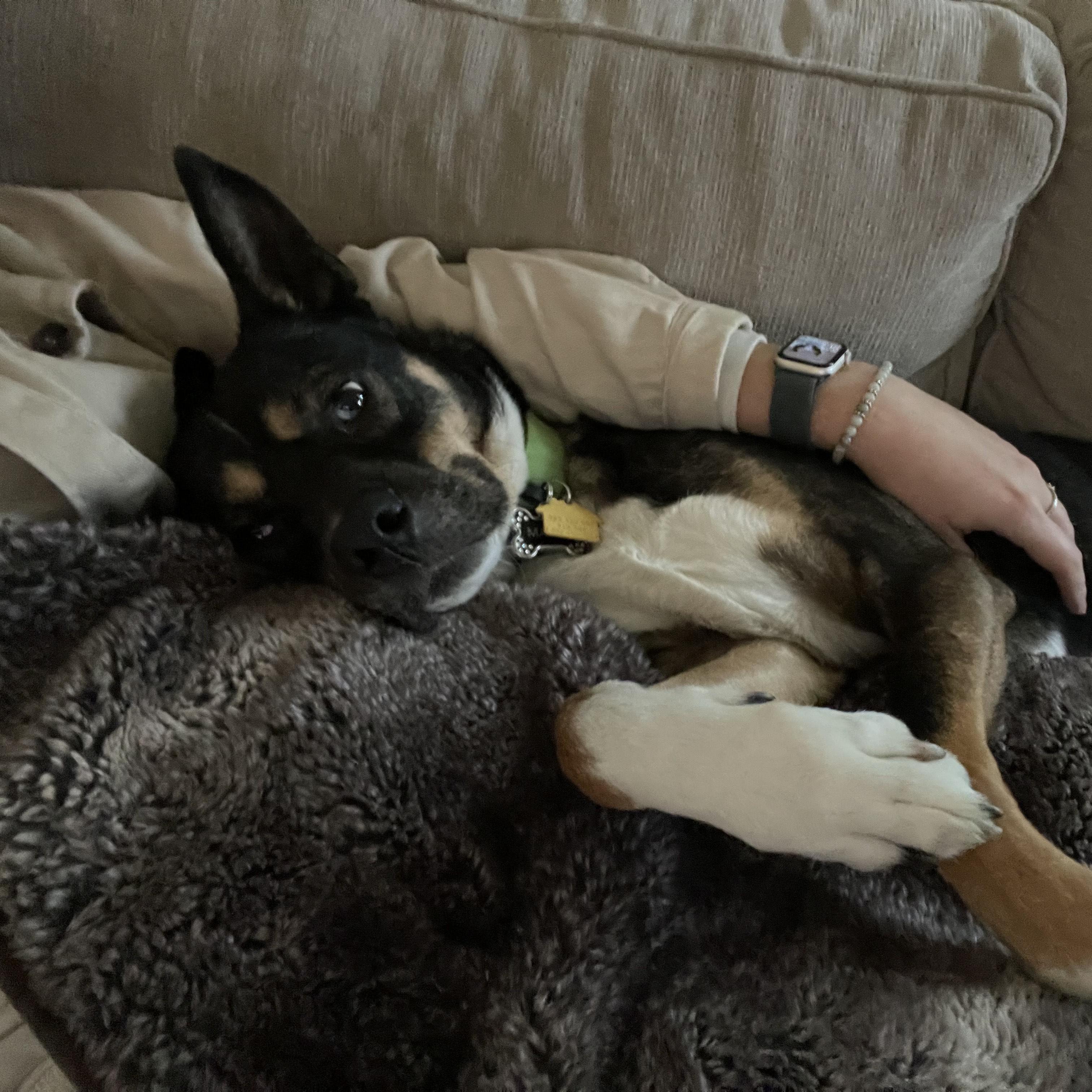 Marlie Courtesy Listing