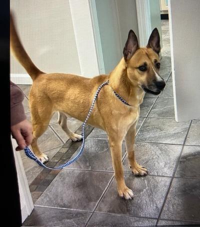 Ryder Gorgeous photo 1