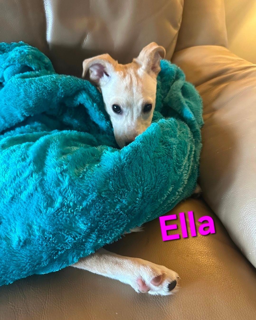 Ella