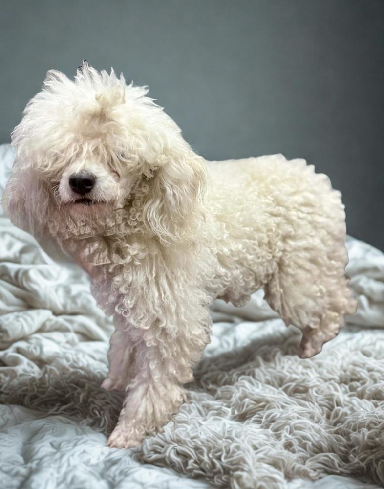 Charlotte Aka Charlie