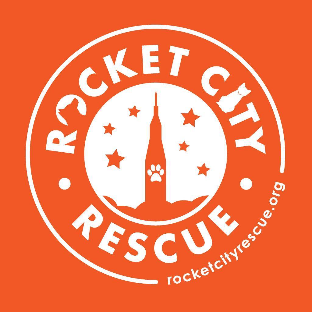 Generic Dog Application