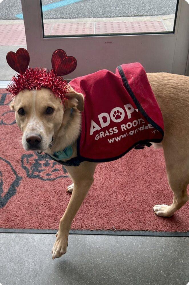 Charlie Barkin photo 1