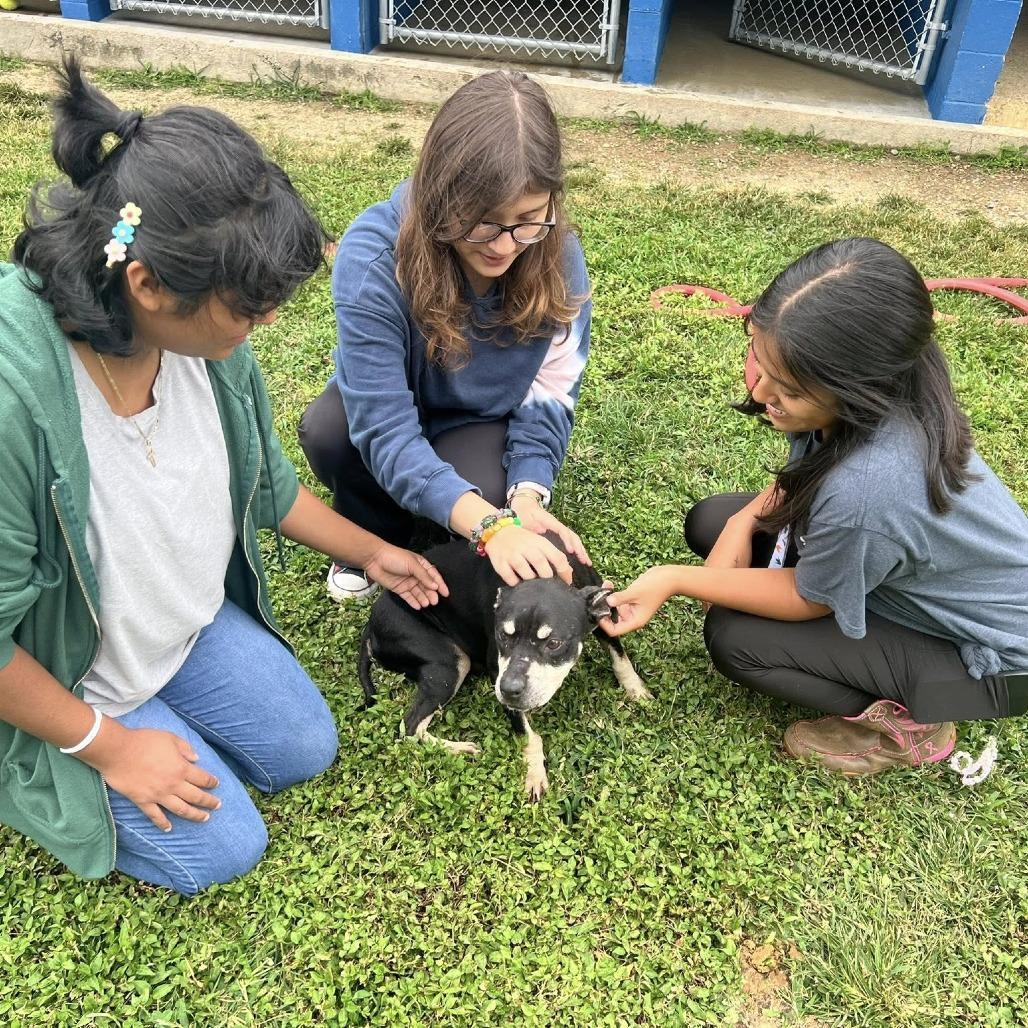 Minnie Mouse photo 1