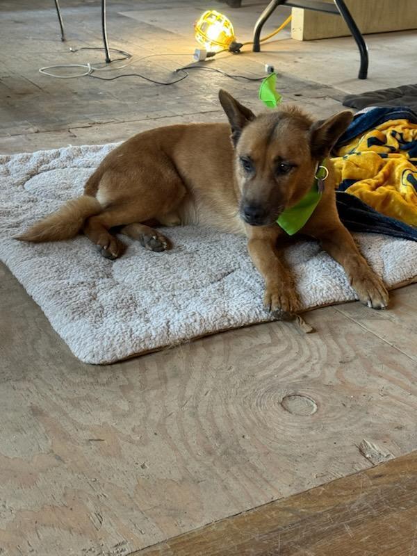 Mr. Darryl Pacman Paco!