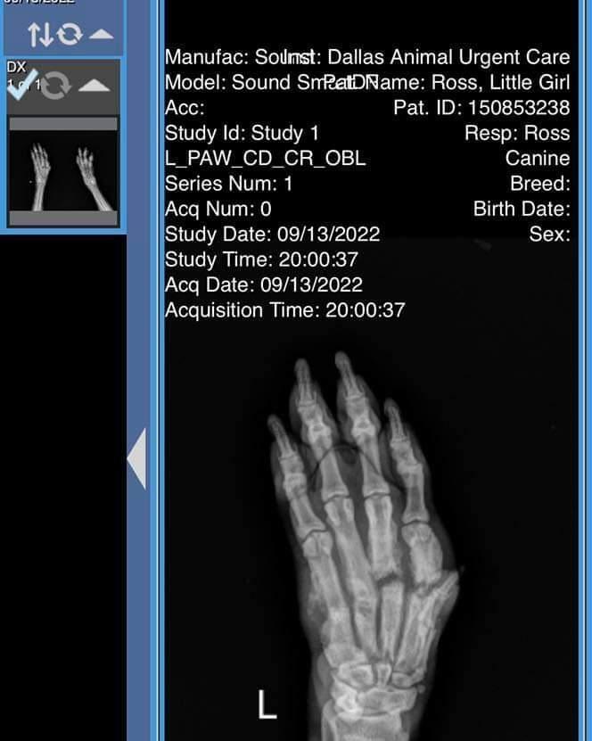 Brooklyn In Arkansas