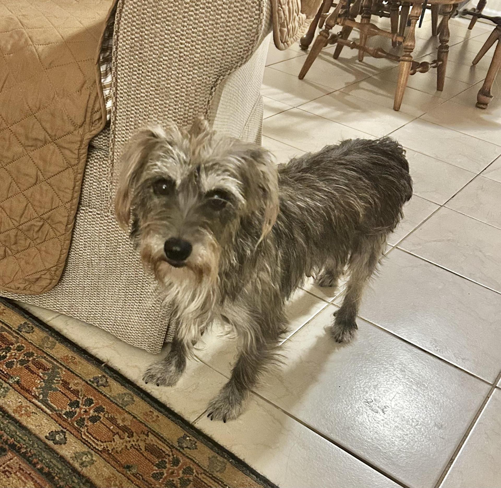 Sweet Gentle Nana