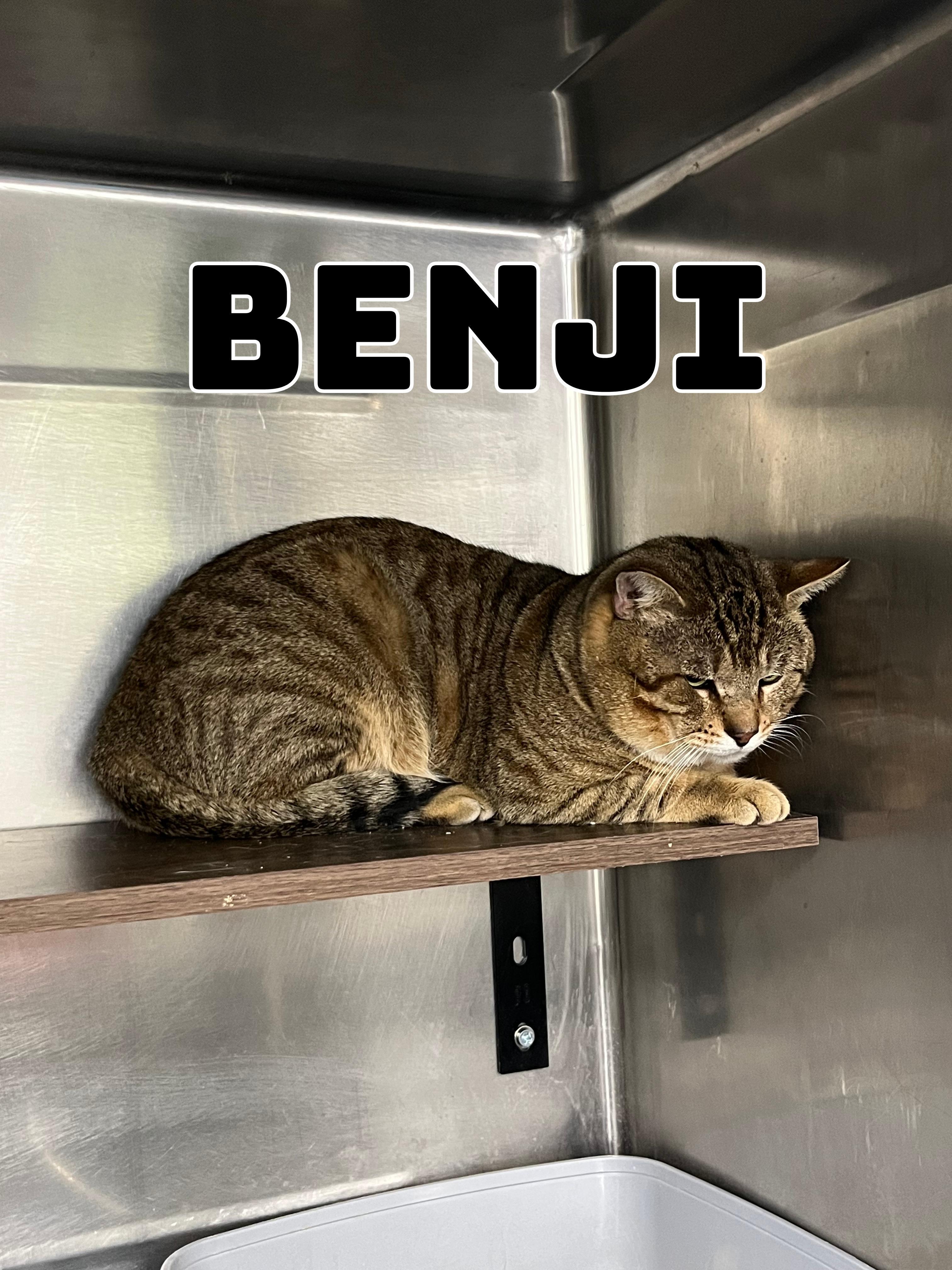 Benji