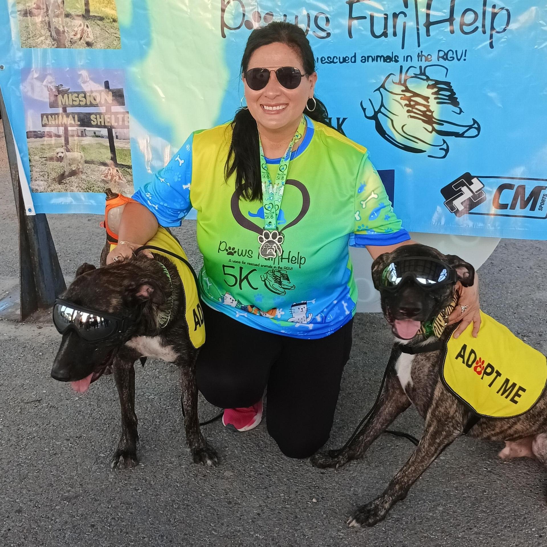 A young medium-sized male Boxer dog named Bugs for adoption in Kempner, TX