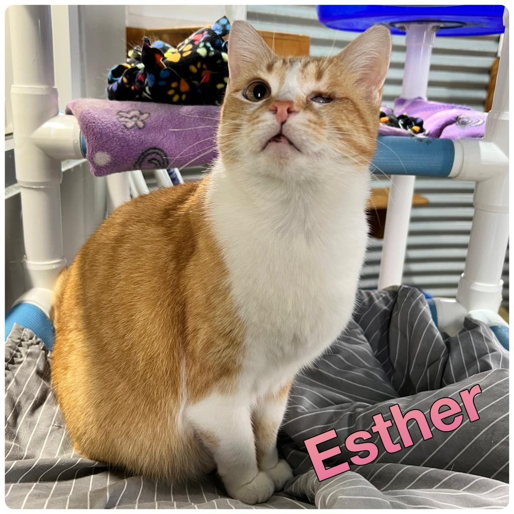 Esther