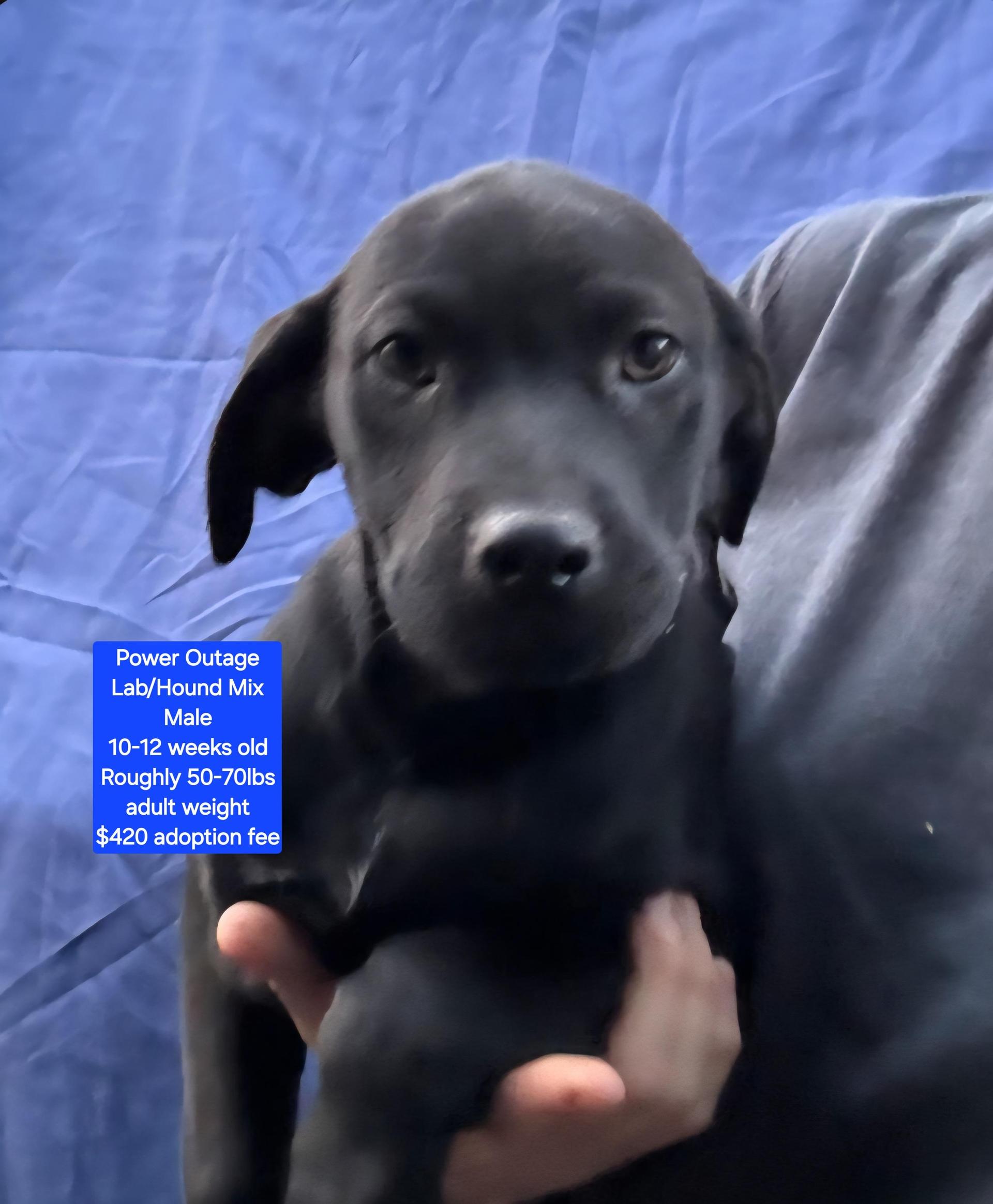 Power Outage photo 1