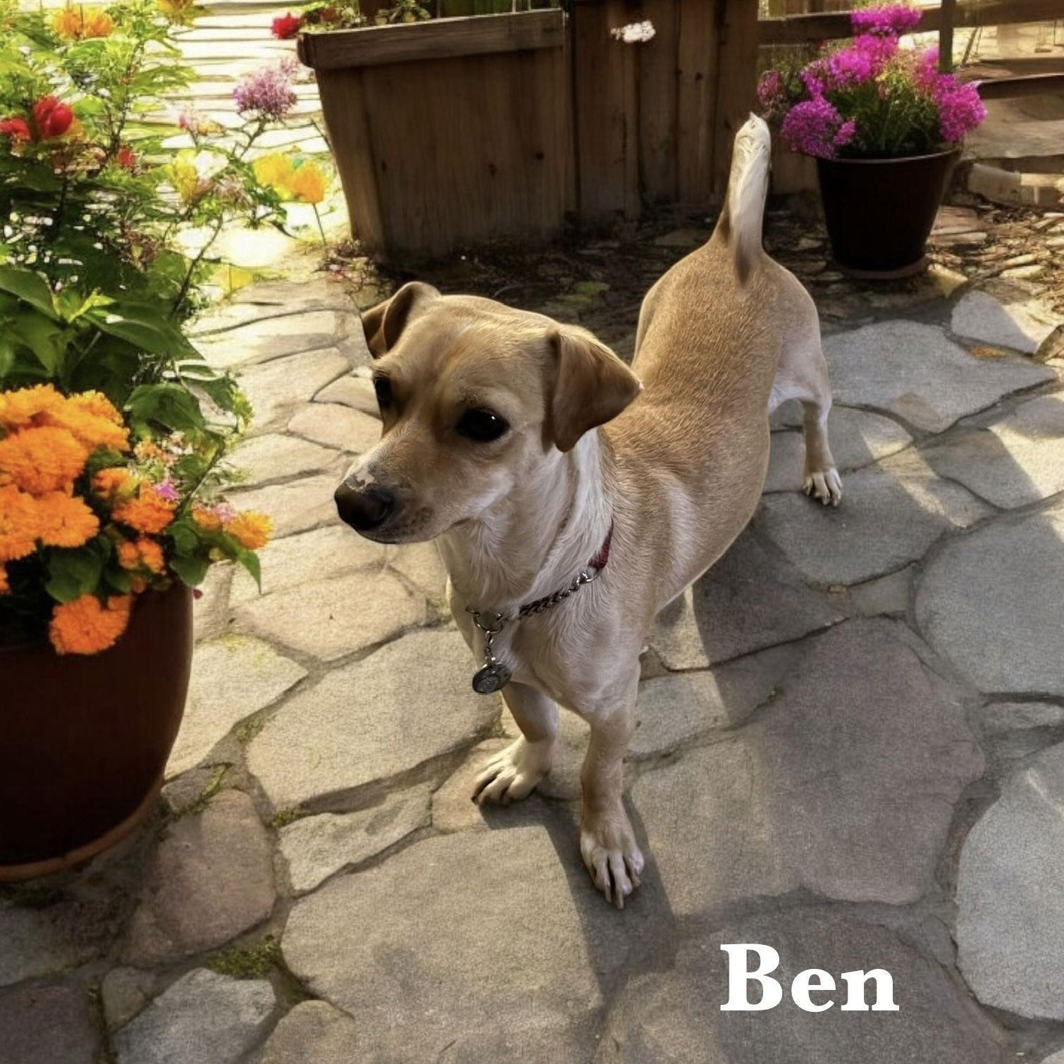 Ben