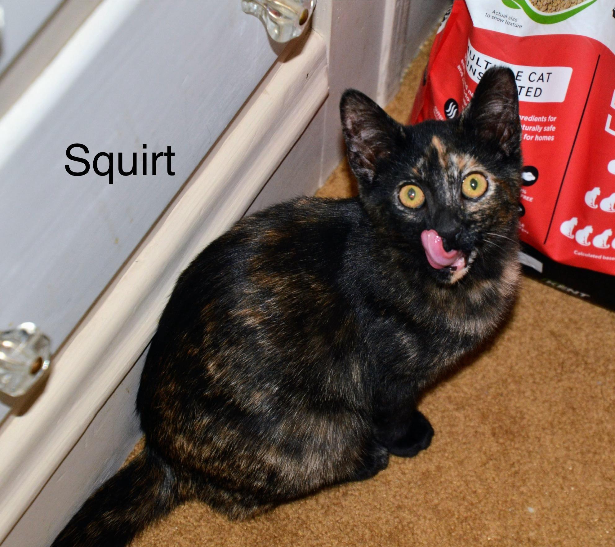 Squirt