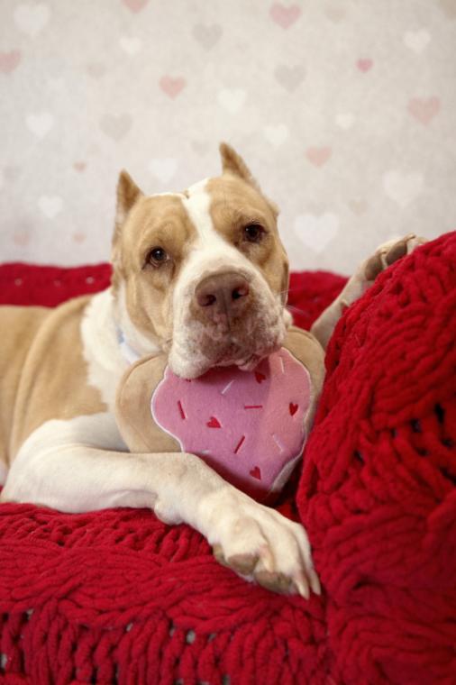 Lovely London Queen Of