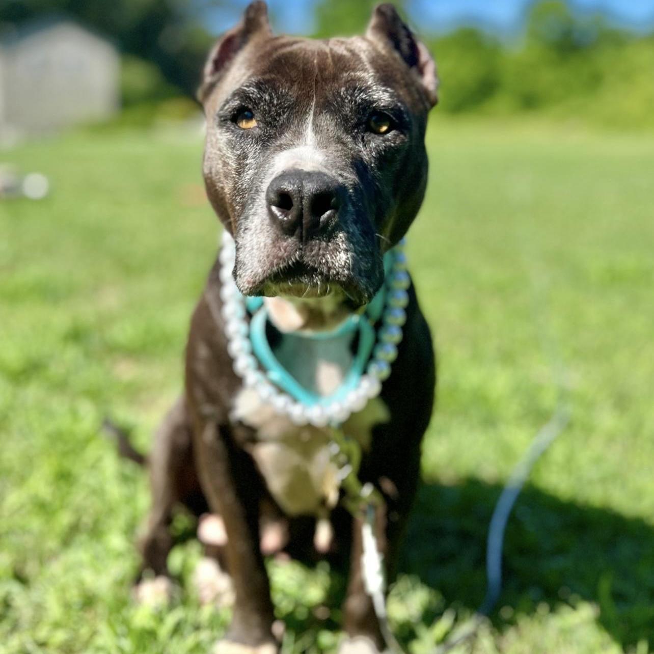 Lady Squirrel photo 1