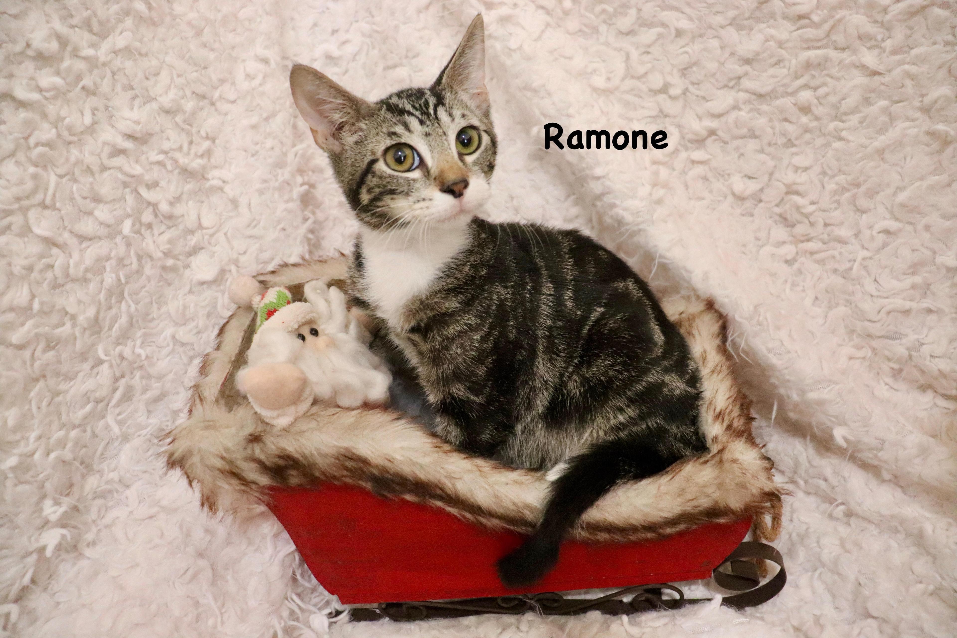 Ramone