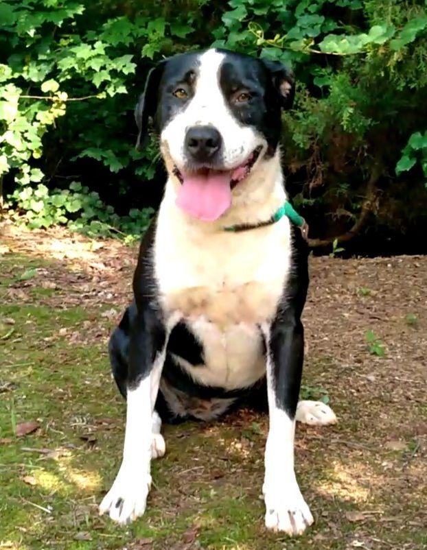 Luke & Lydia photo 1