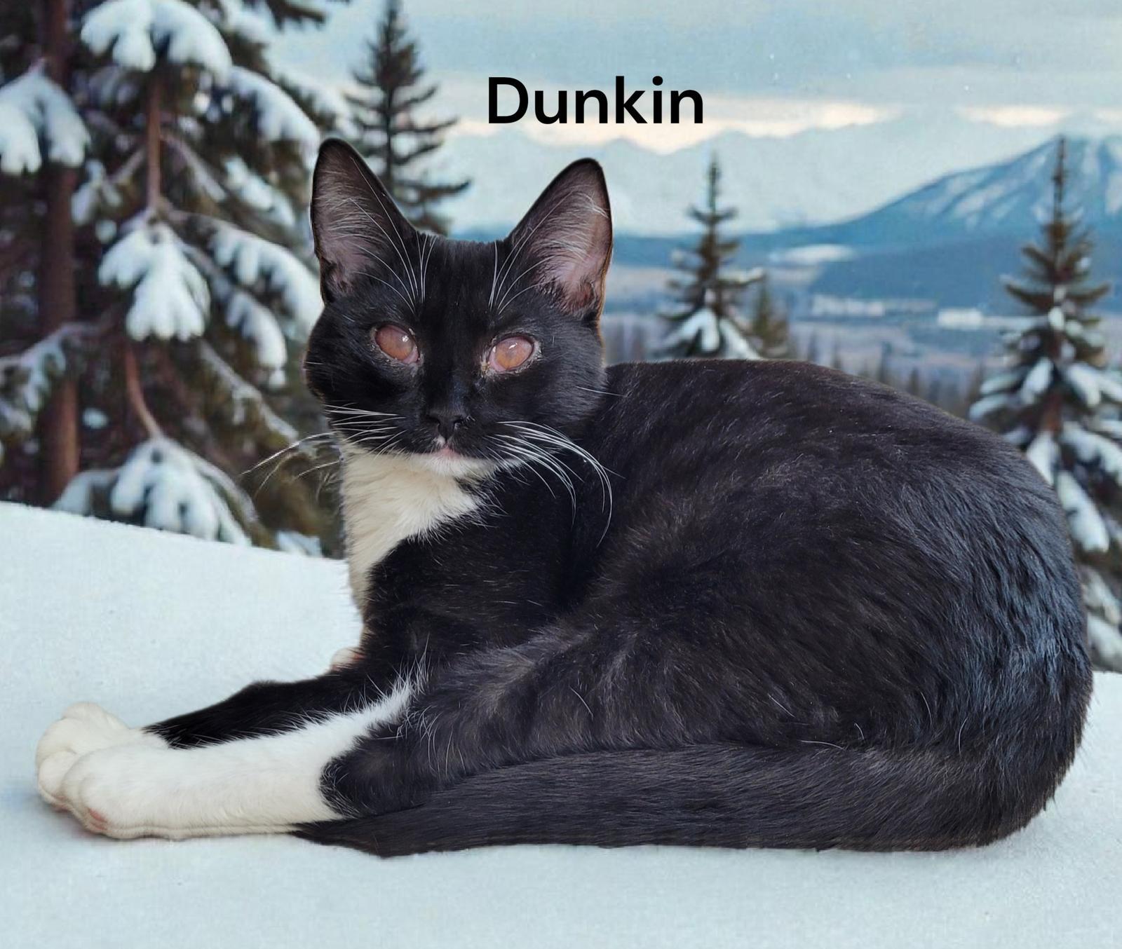 Dunkin