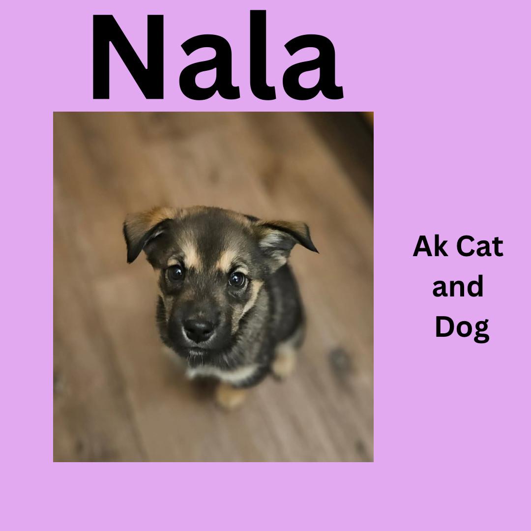 Nala