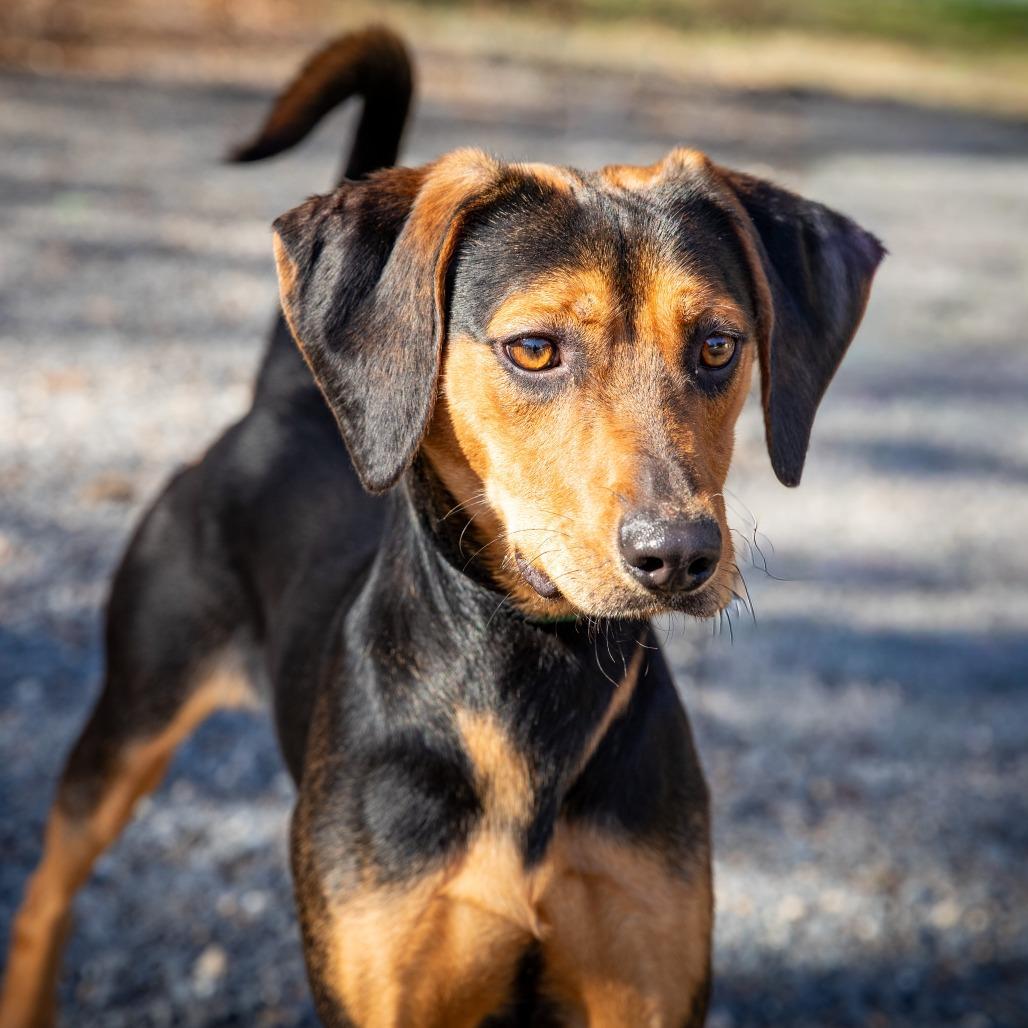 Beetlejuice Beetlejuice photo 1