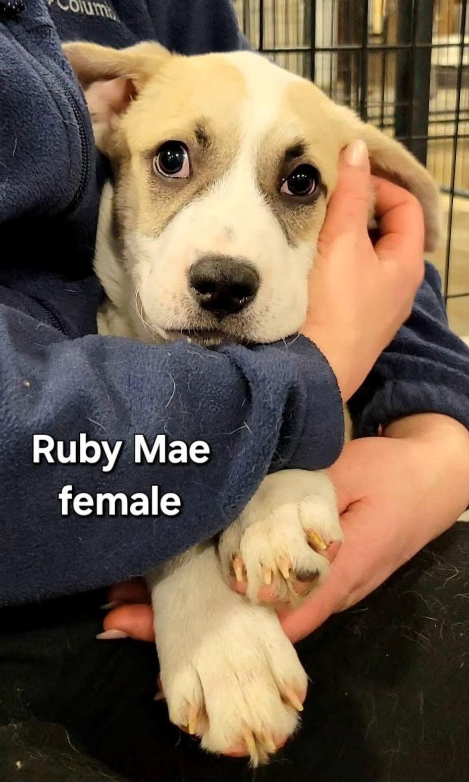 Ruby Mae