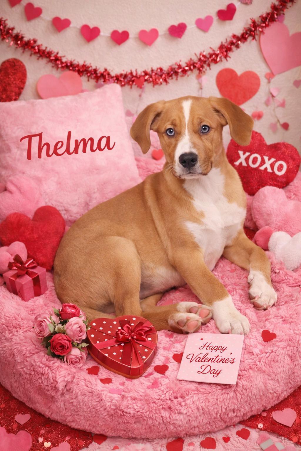 Thelma
