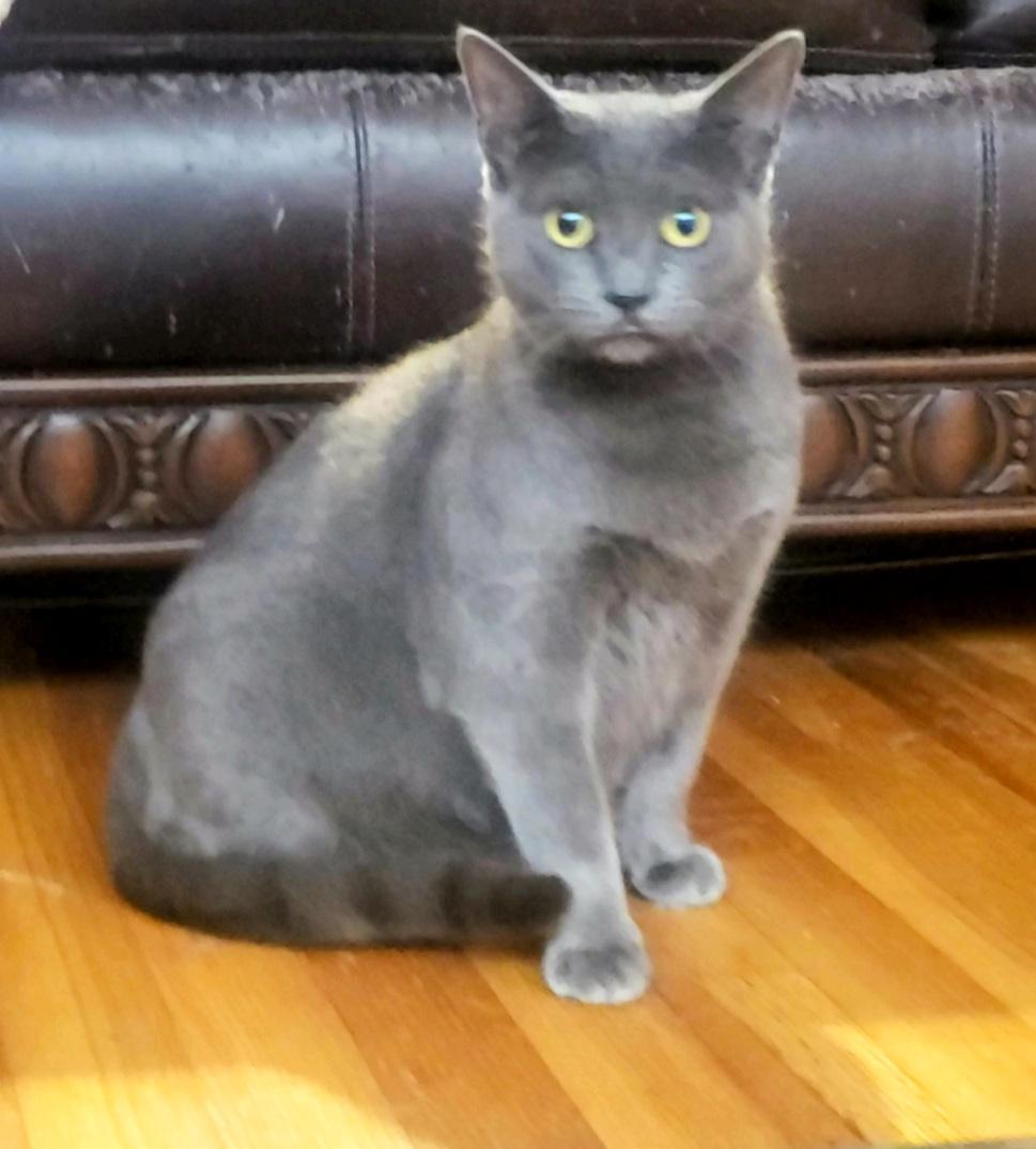 Irina Petitesweetheart