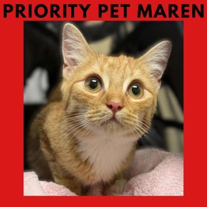Maren `a Priority Pet`