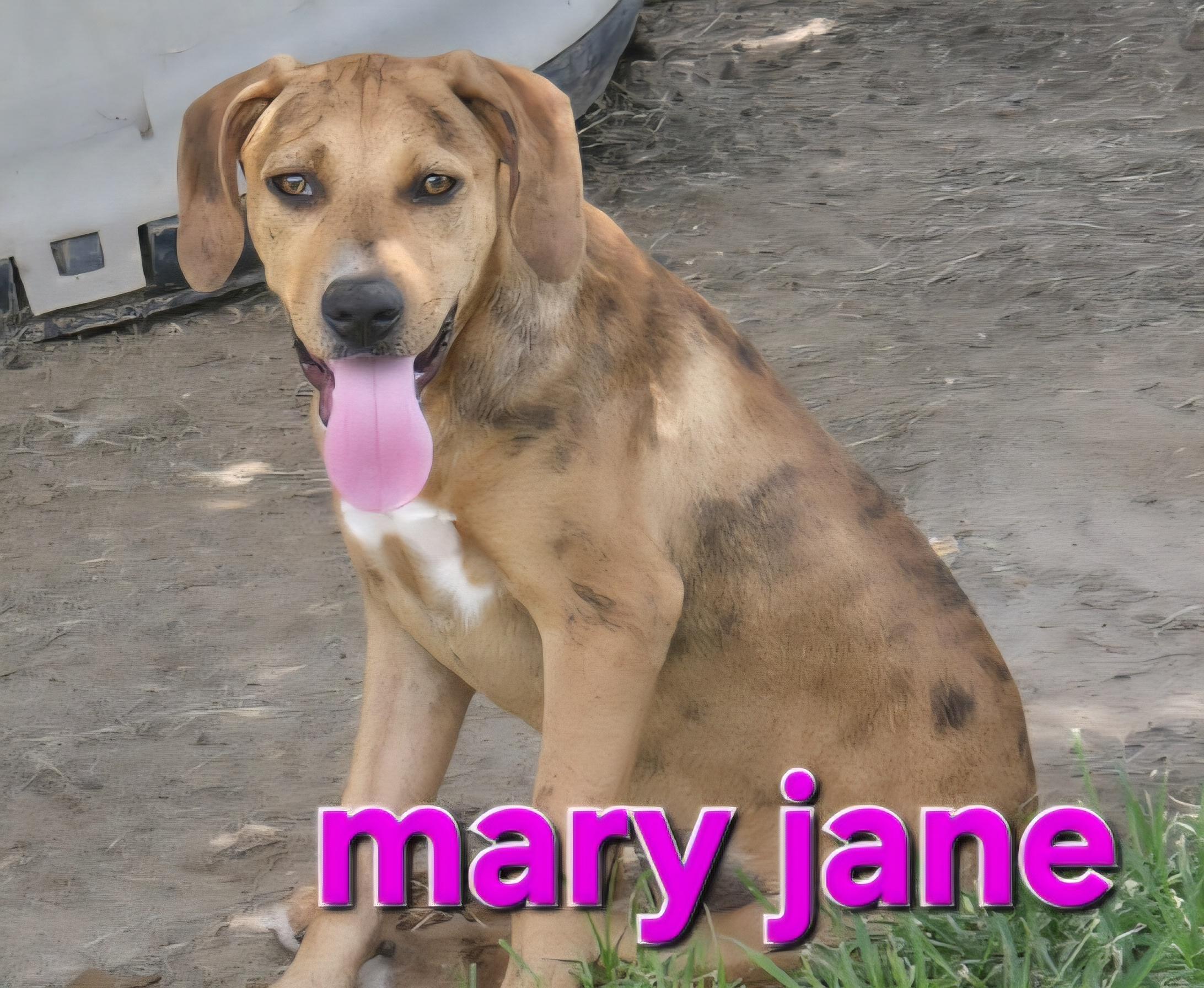 Mary Jane