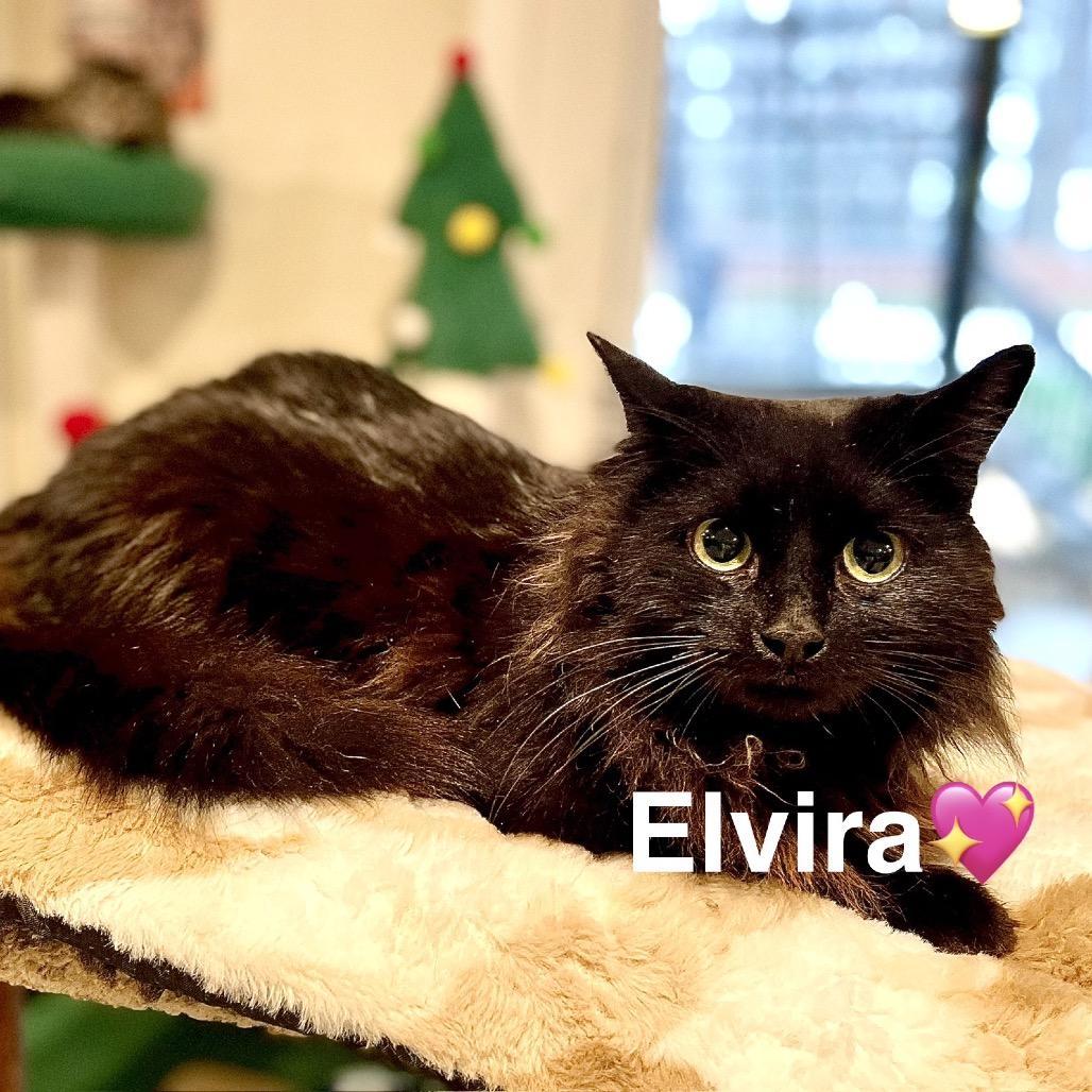 Elvira