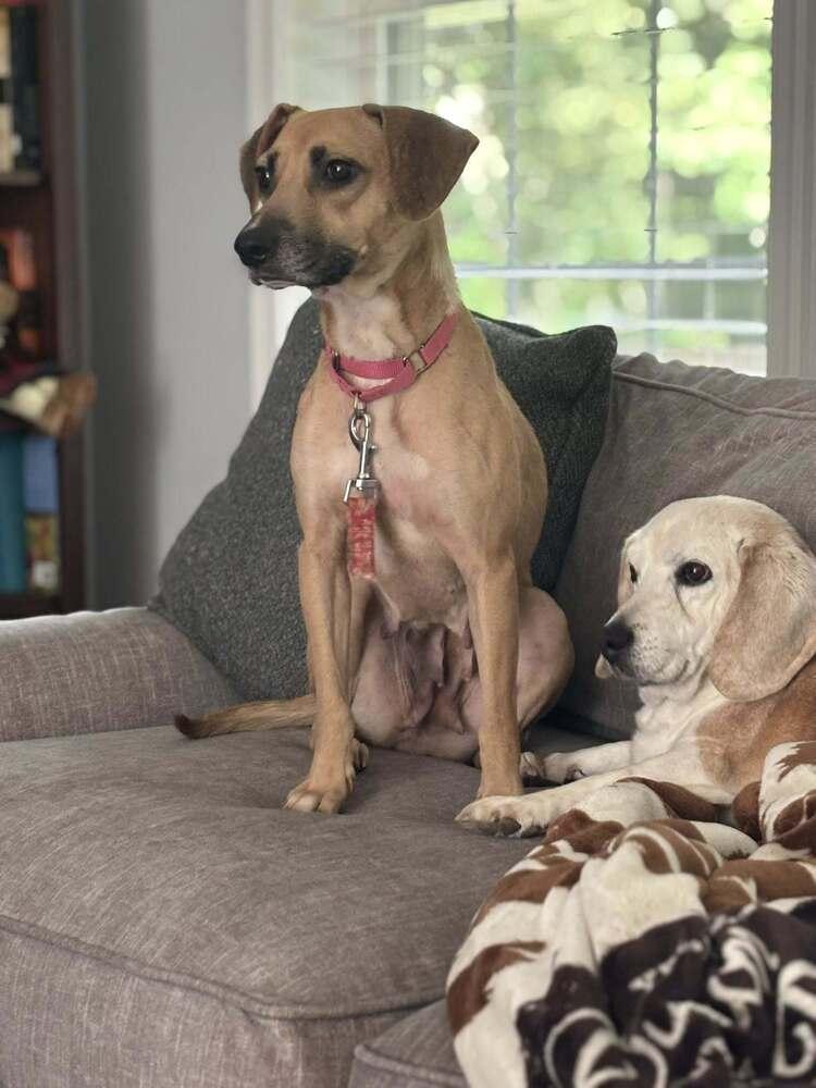 Robin Thebank photo 1