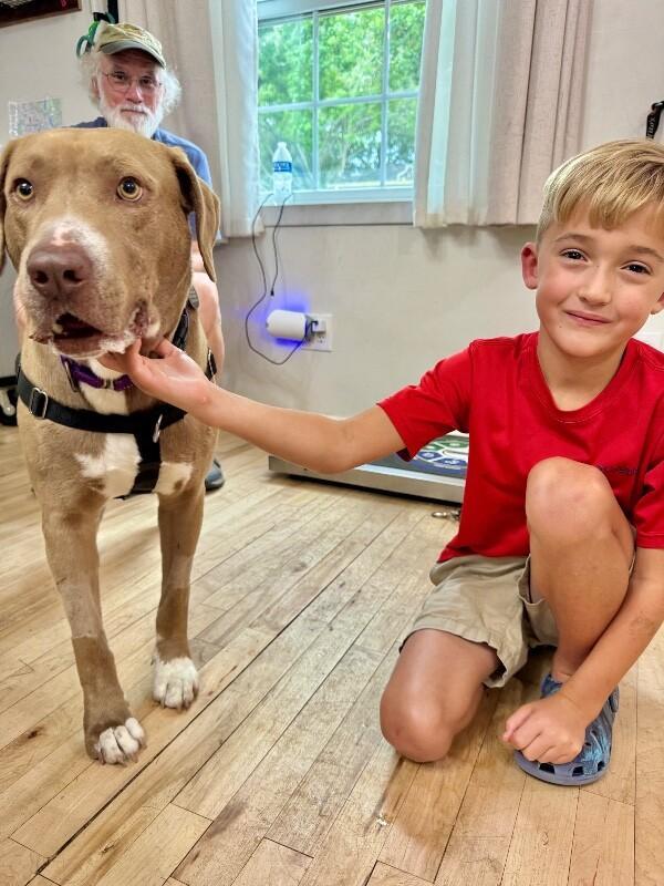 Stanley Is The Man photo 1