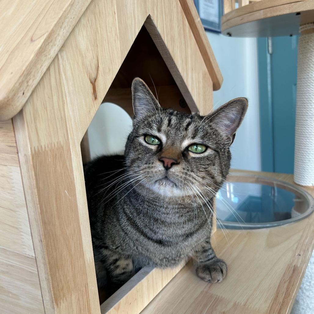 Pumpkin Spice photo 1