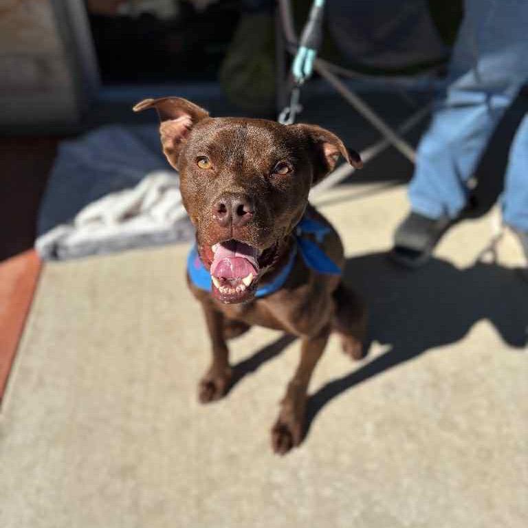 Captain Crunch photo 1