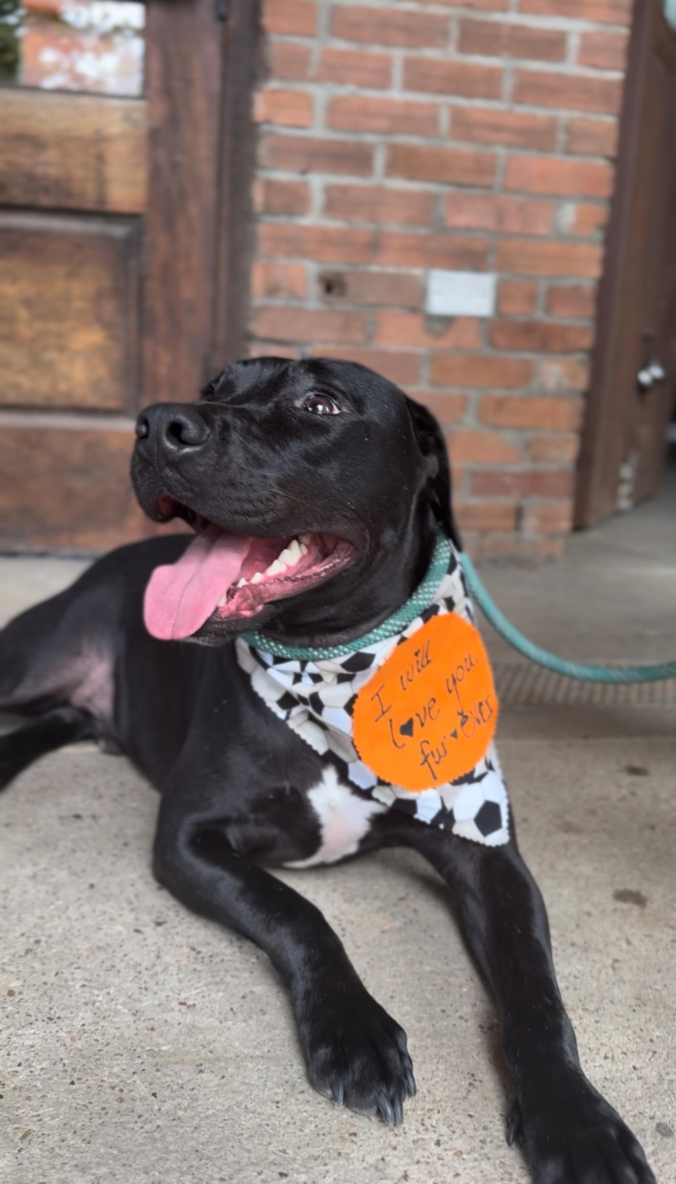 Lazarus "russie Laz"