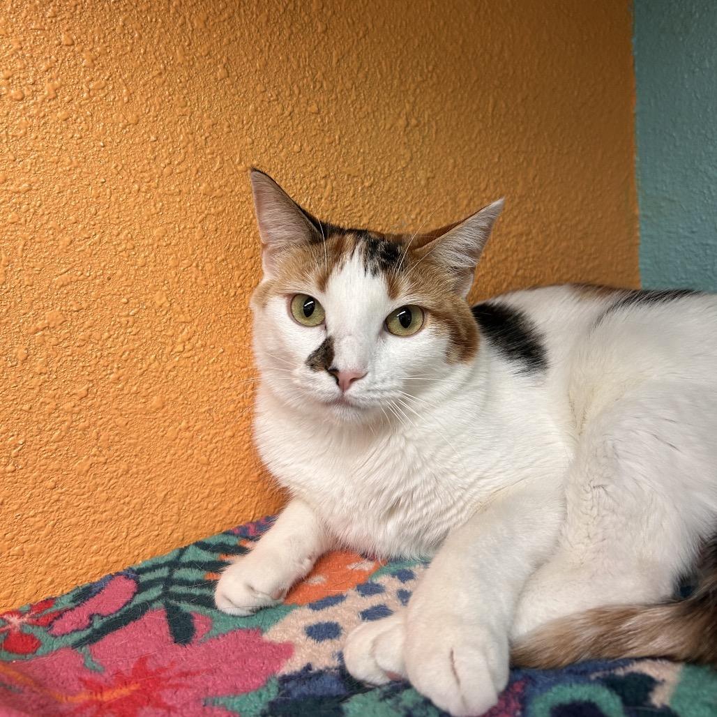 Butter Free Aka Maizie