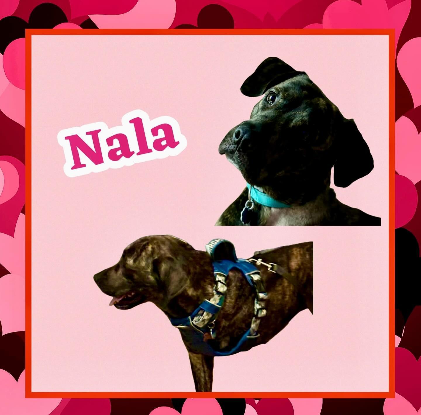 Nala
