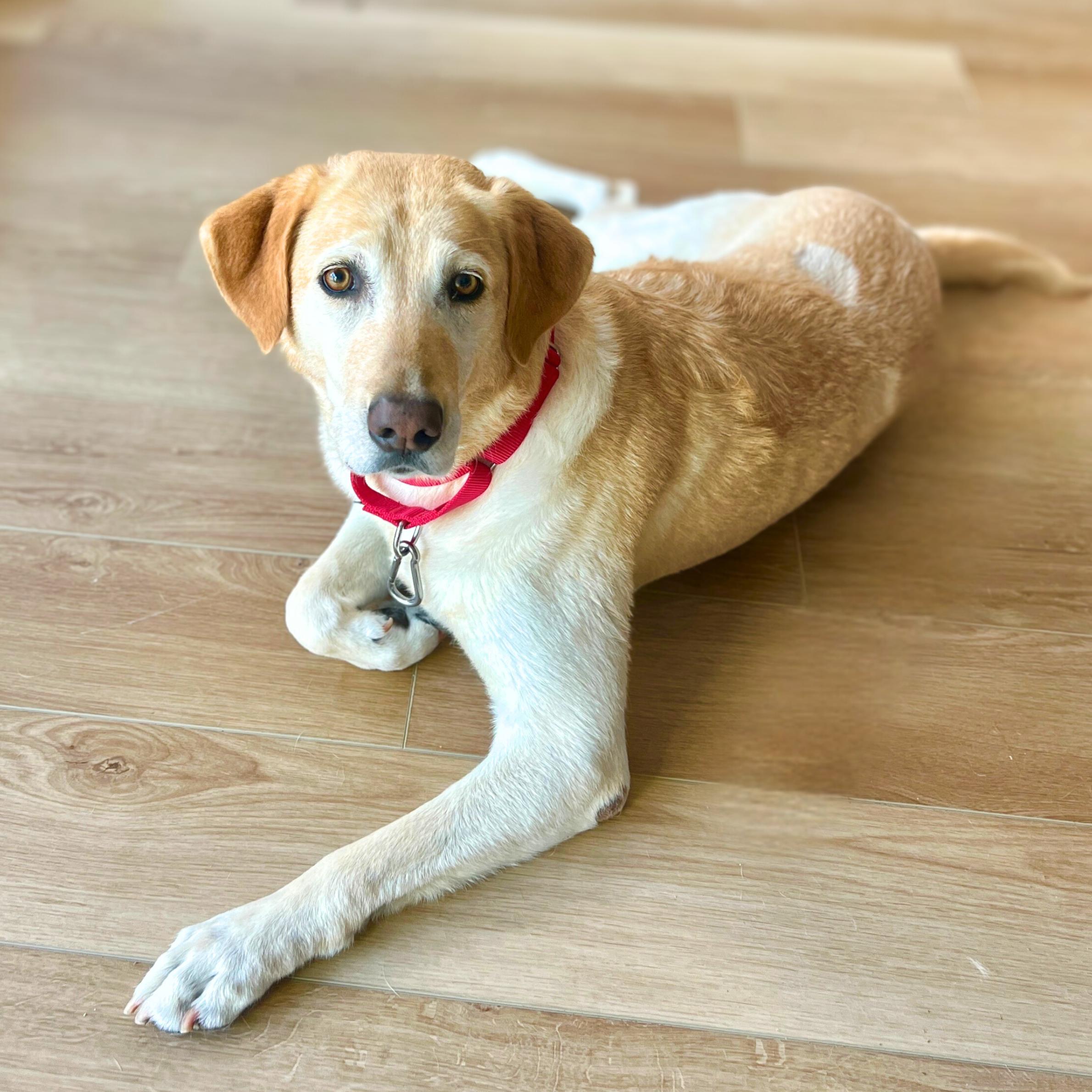 Third Time's The Charm