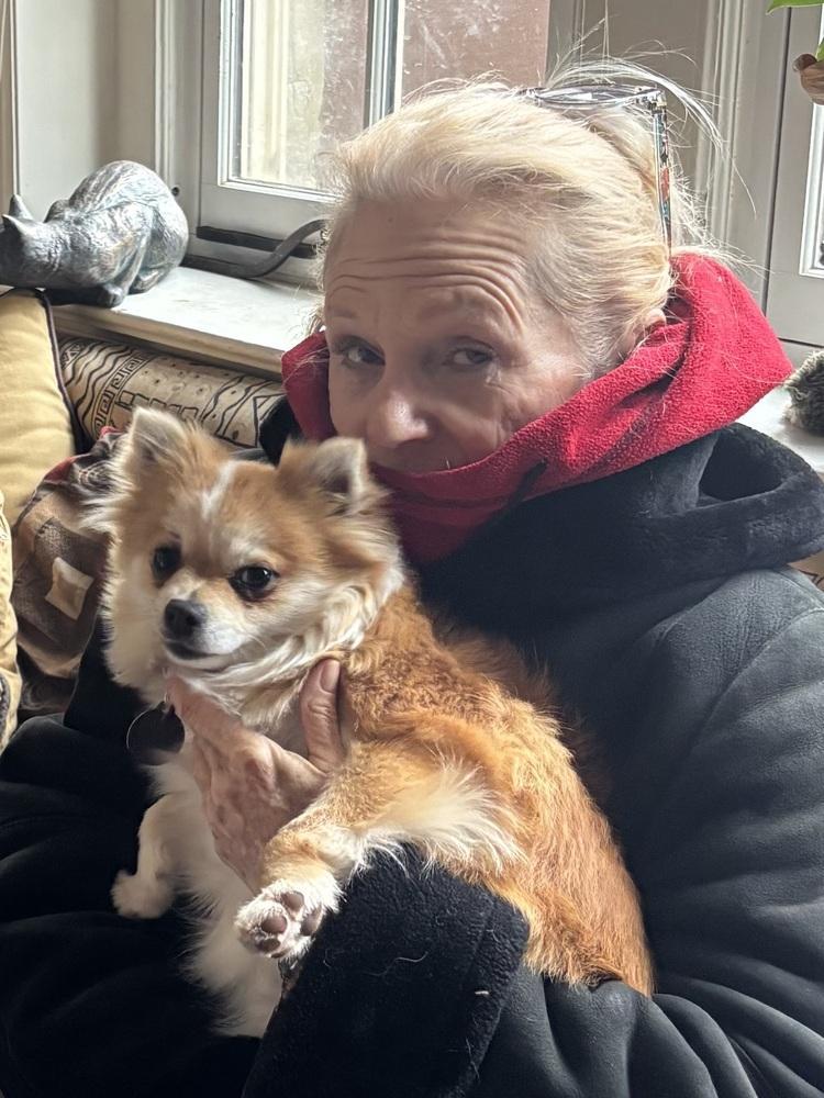 Churro Not Accepting photo 1