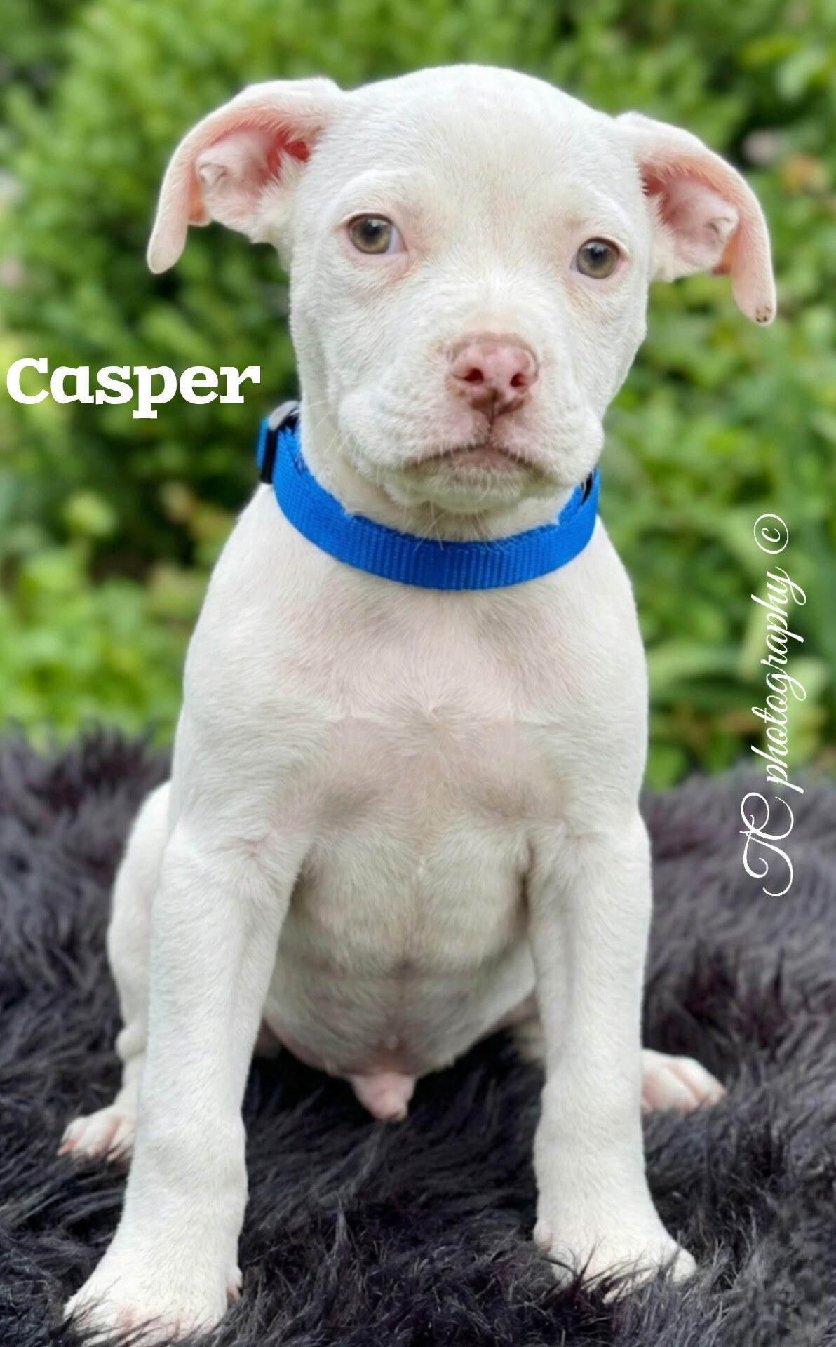Casper