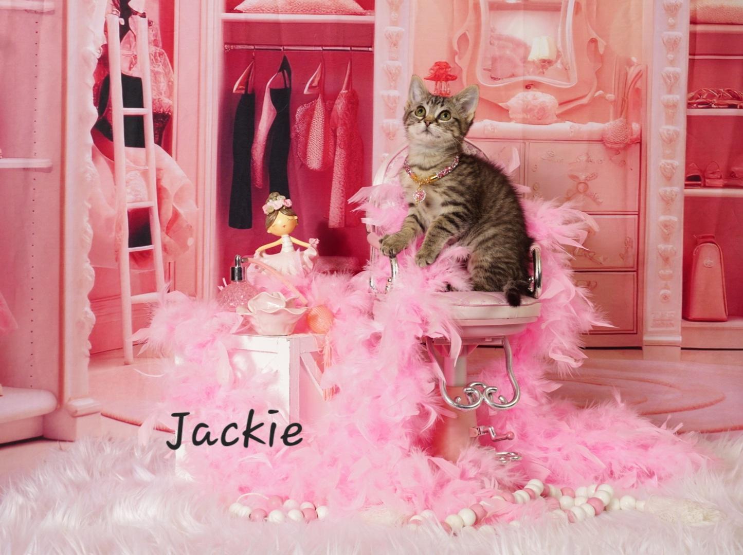 Jackie