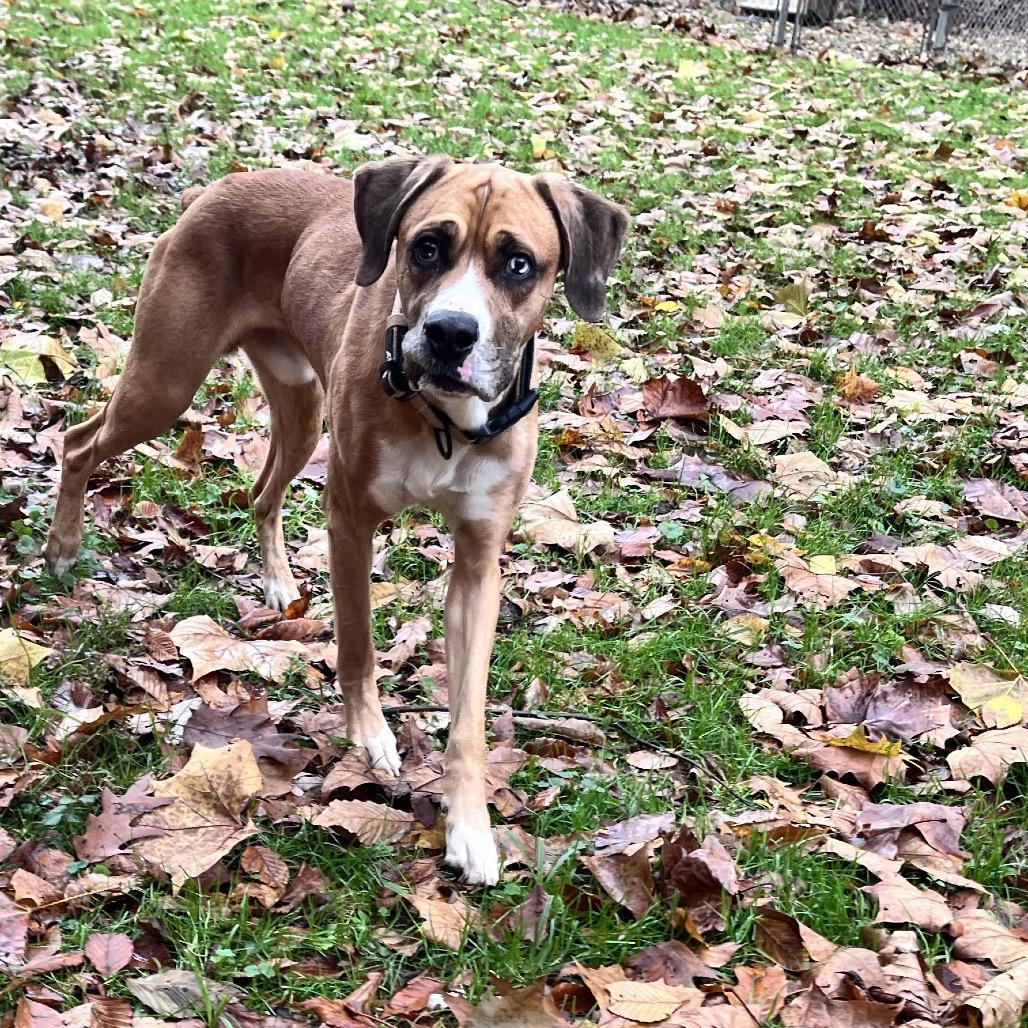 Turkey Lurky photo 1