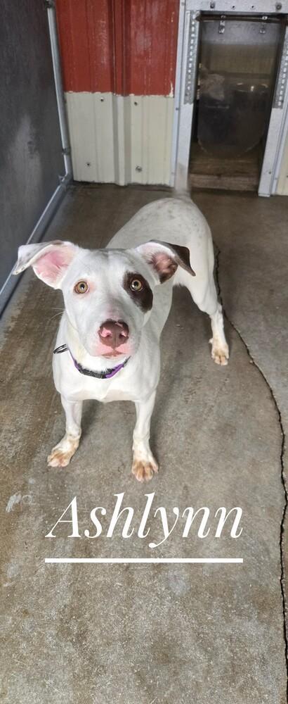 Ashlynn