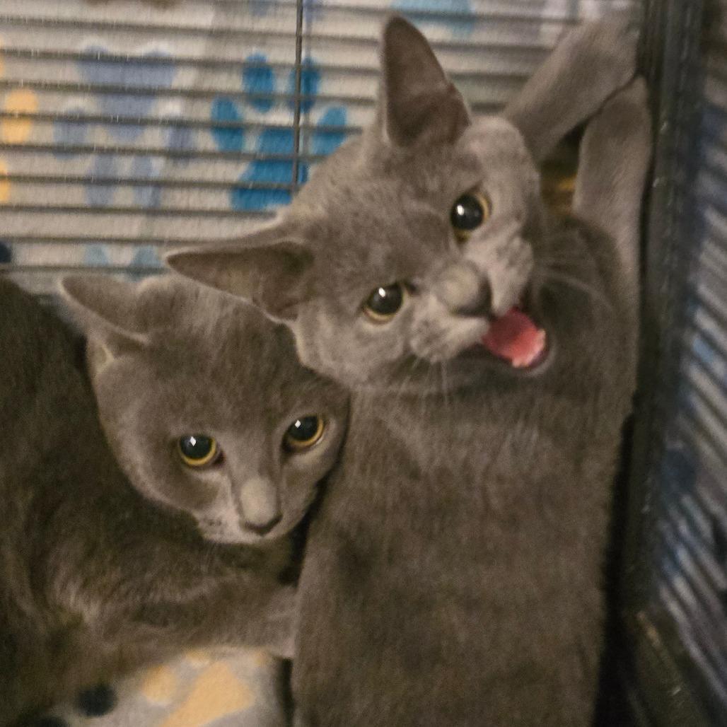 Captain Jack Sparrow photo 1