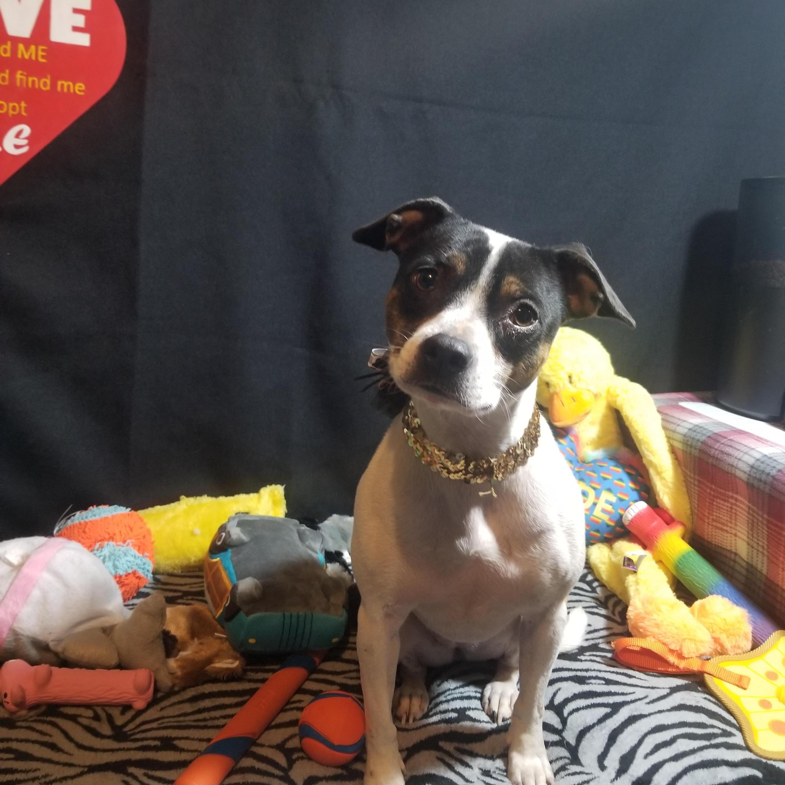 Maisey Aka Big Sissy