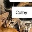 Colby