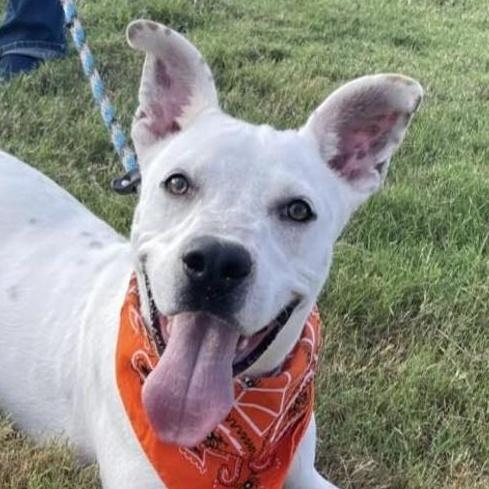 Banks An All photo 1