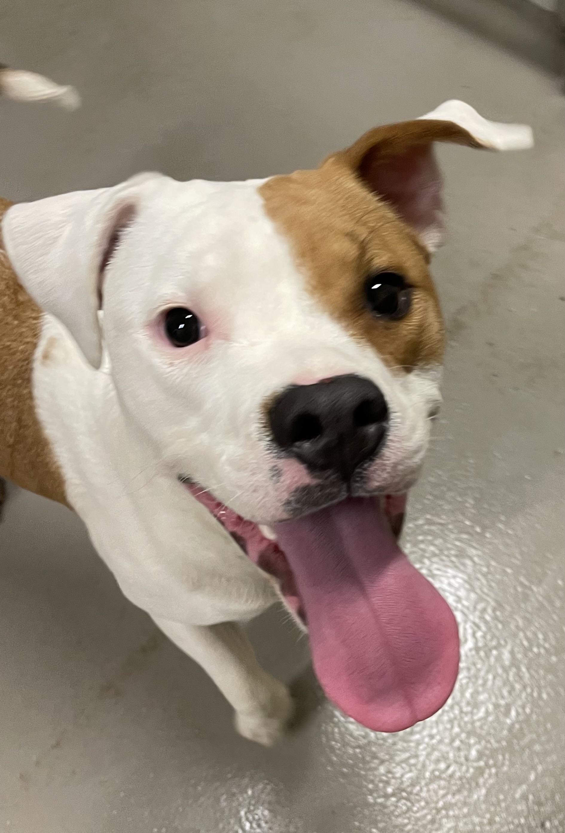 Milly Owner Redeemed